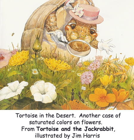 ‘Tortoise in the Desert’ Saturated color in fairy tale illustrations from Jim Harris.